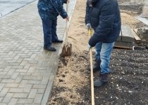 Общеобластной субботник.