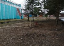 Общеобластной субботник.