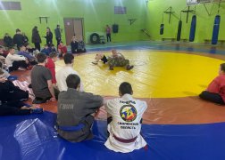 05aUEawn4xtaRCL9uC8Ow7No_mABhSVsIx9e8_Ft_PcrIGWDWrWY705vQ5sCJwlOjMsP9c0fi43vus8VSLTilvro