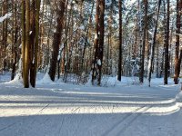 k_ws1qCFFe_3uRbijgHVUQxqvKr5-1p6UhAtvsbyEh3sLDG6n0CnY-Fl3BKc-WO7O-6YzFjNy4gM3QVh2r4145cF