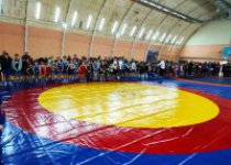 Захватывающий межрегиональный турнир по вольной борьбе В Катынском спортивном комплексе .