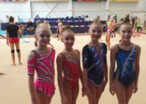 Первенство Центрального федерального округа по художественной гимнастике. 