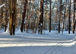 k_ws1qCFFe_3uRbijgHVUQxqvKr5-1p6UhAtvsbyEh3sLDG6n0CnY-Fl3BKc-WO7O-6YzFjNy4gM3QVh2r4145cF